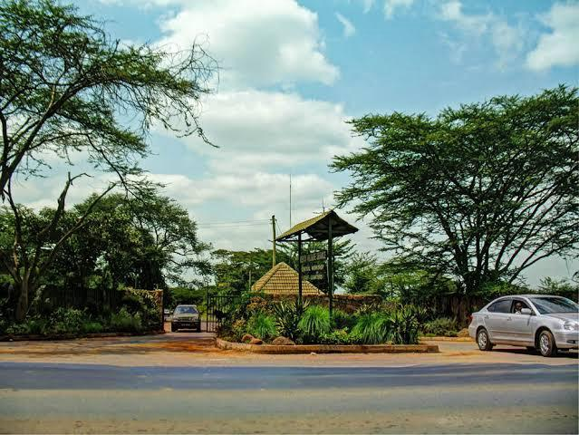 2. David Sheldrick Elephant Orphanage – Up Close with Baby Elephants