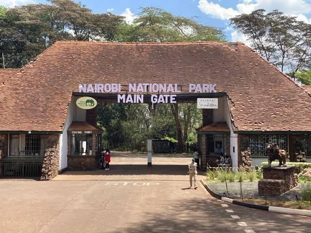 1. Nairobi National Park – Safari in the City