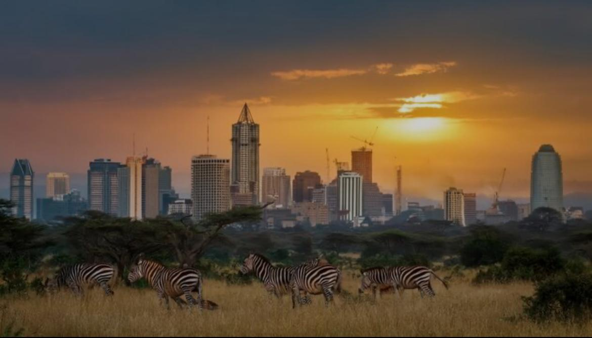 1. Nairobi National Park – Safari in the City