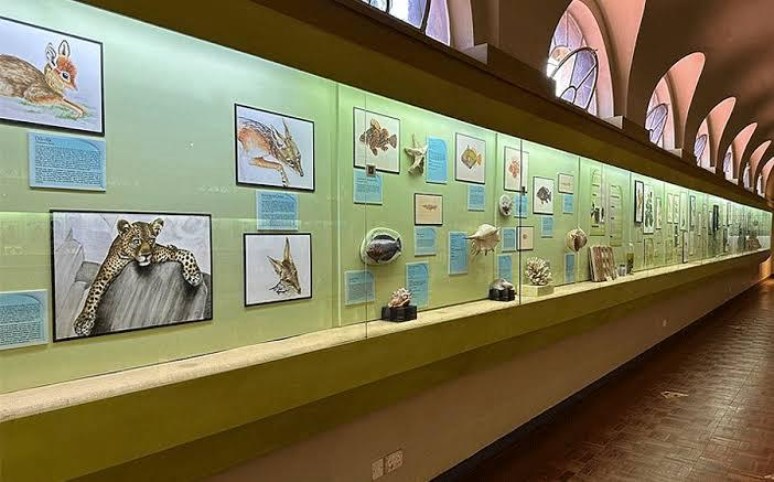 4. Nairobi National Museum – Explore Kenya’s Story